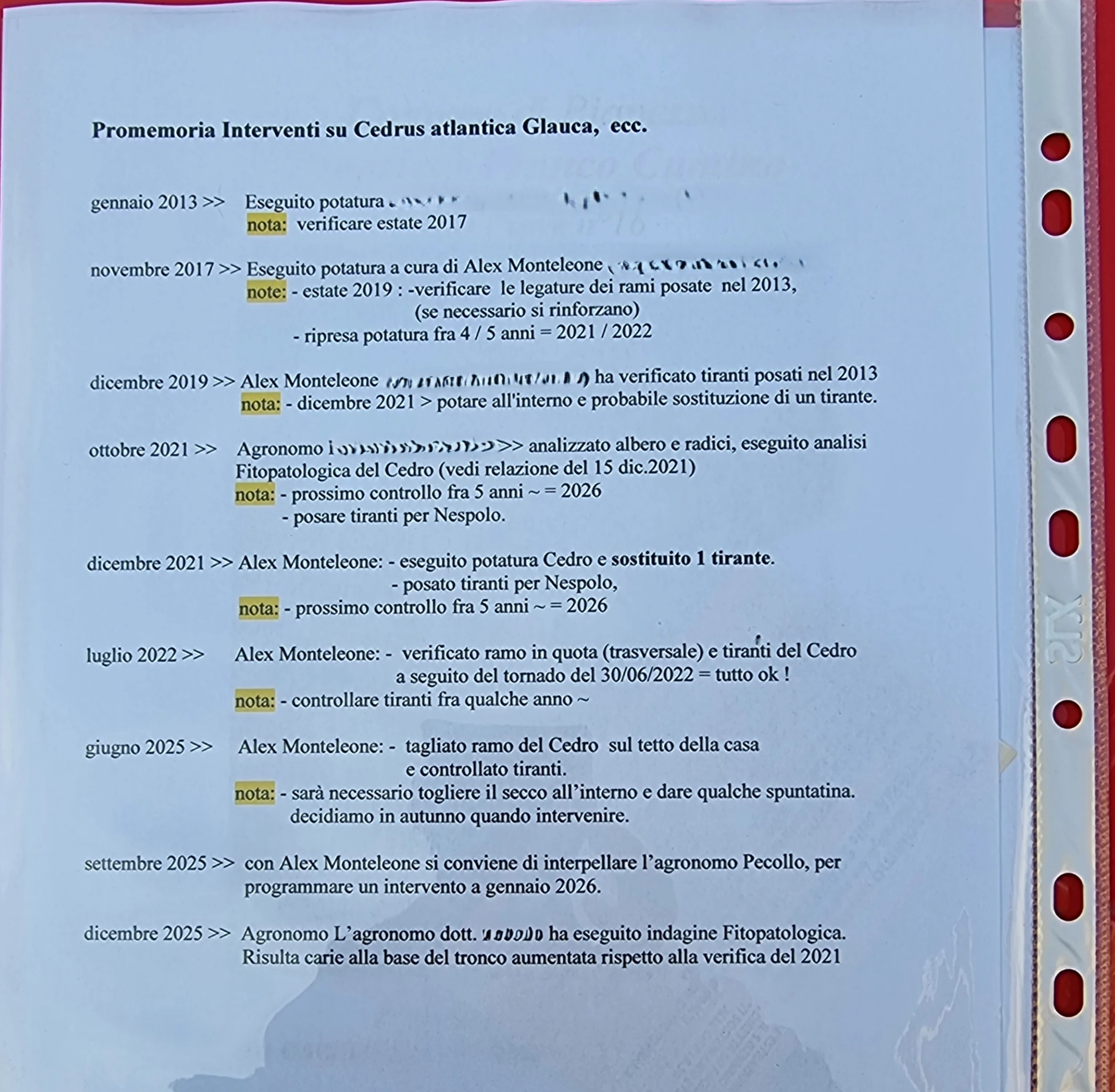 Cronoprogramma storico interventi manutenzione e potatura Cedrus atlantica dal 2017