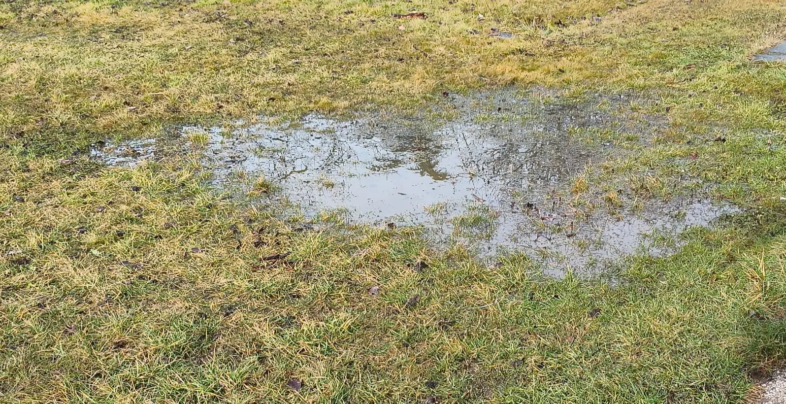 Diluvio in Piemonte 1 Prato allagato in Piemonte con evidente ristagno idrico superficiale causato dal collasso del terreno pesante